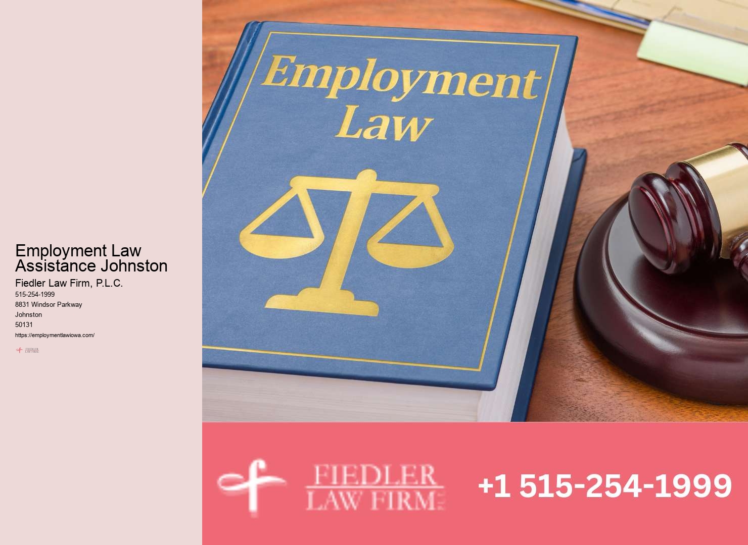 Expert Government Employment Lawyer in Johnston