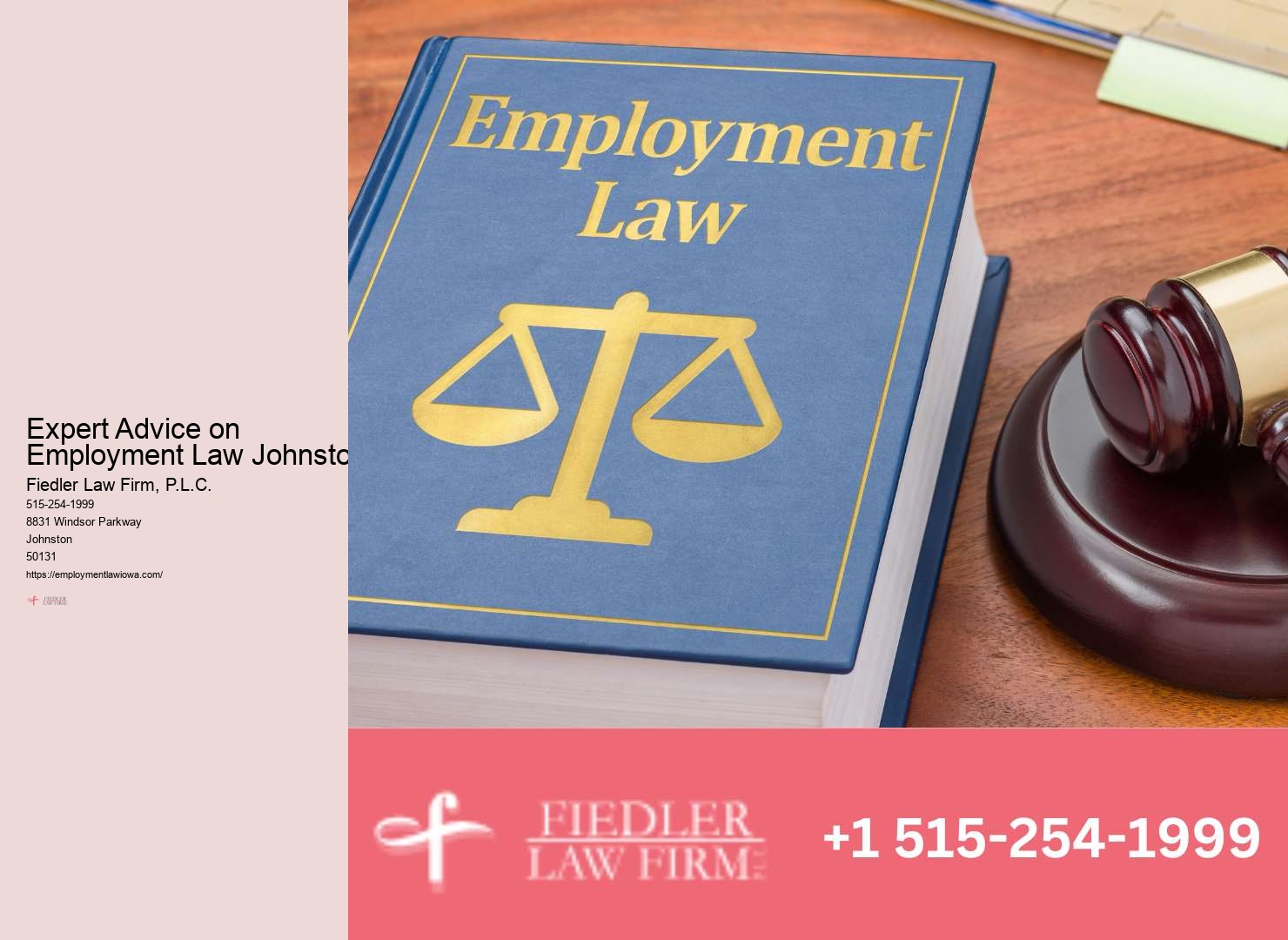 Johnston Employment Law Consultation Firm Advisory Expertise