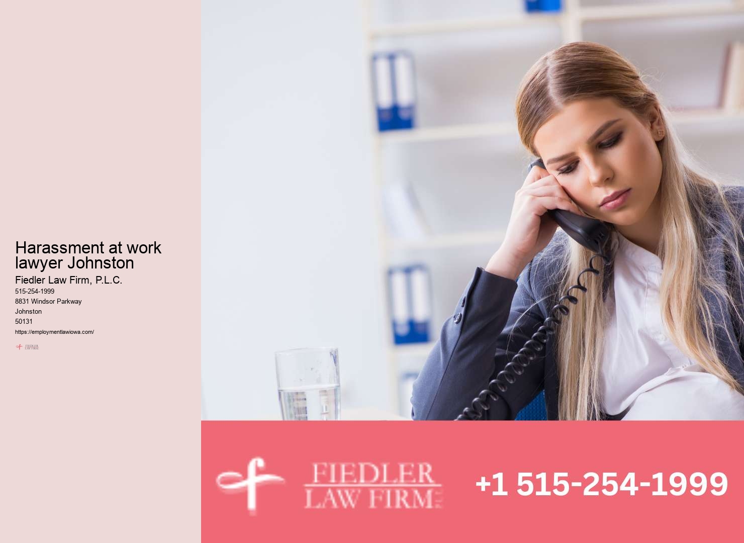 Johnston Employment Law Consultation Firm Legal Guidance Expertise
