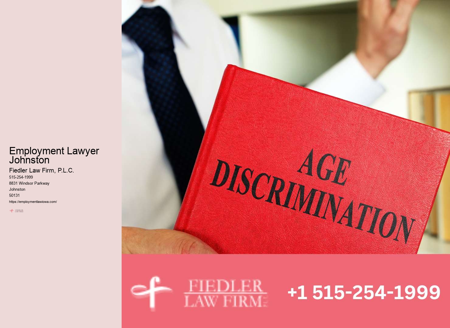 Specialized Government Employment Lawyer Johnston