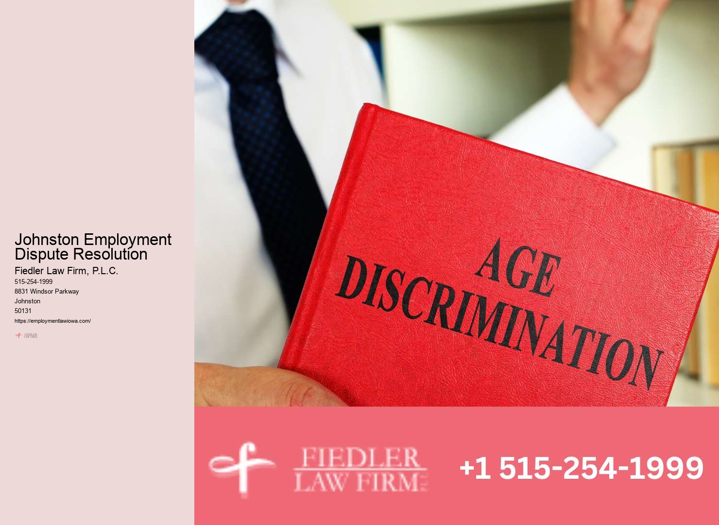 Employment Lawyer Johnston reviews