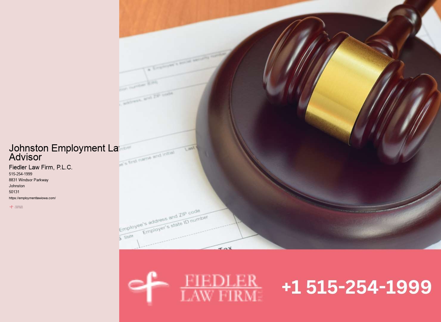 Johnston Employment Law Representation Expertise