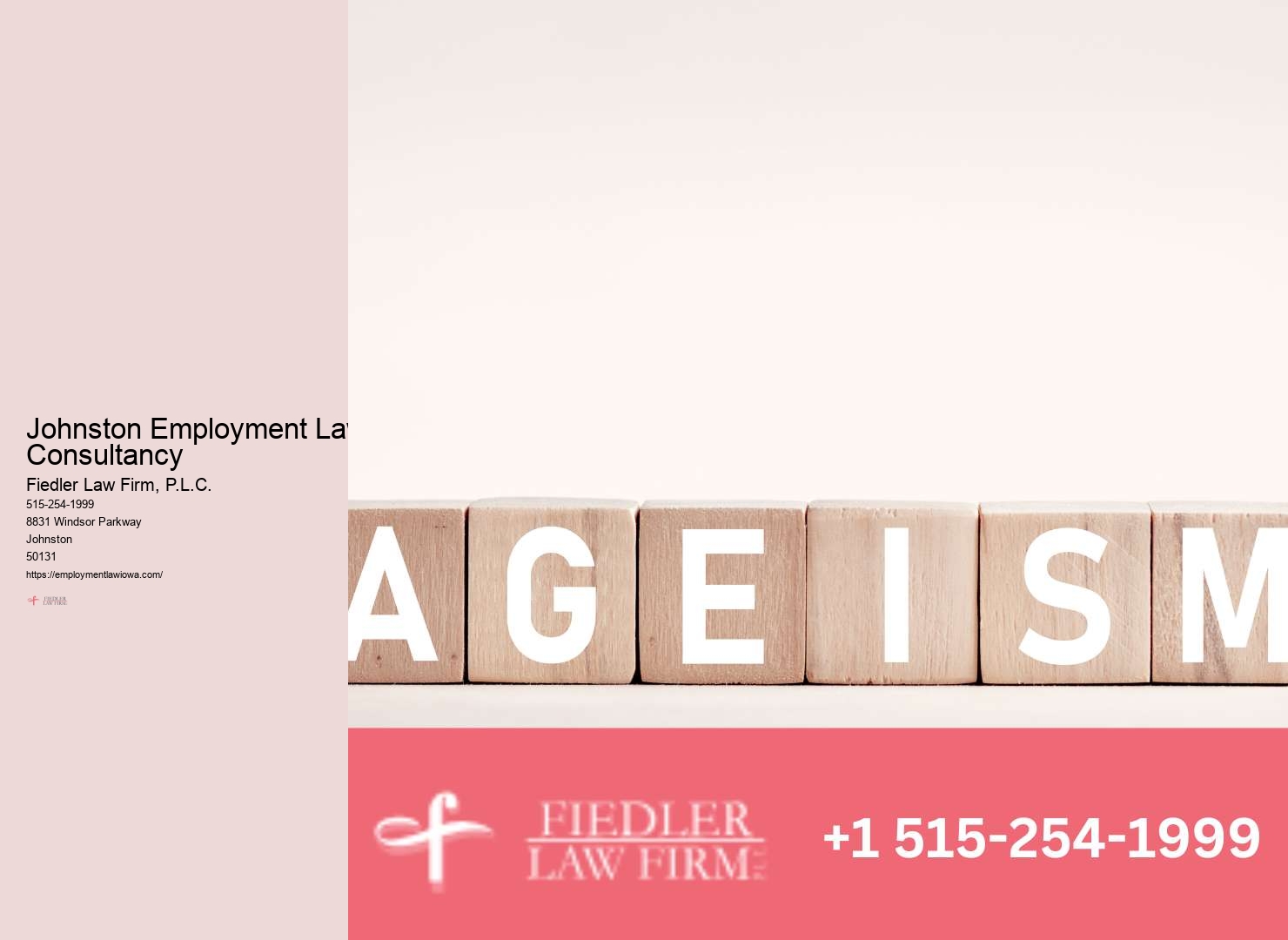 Johnston Employment Law Expert