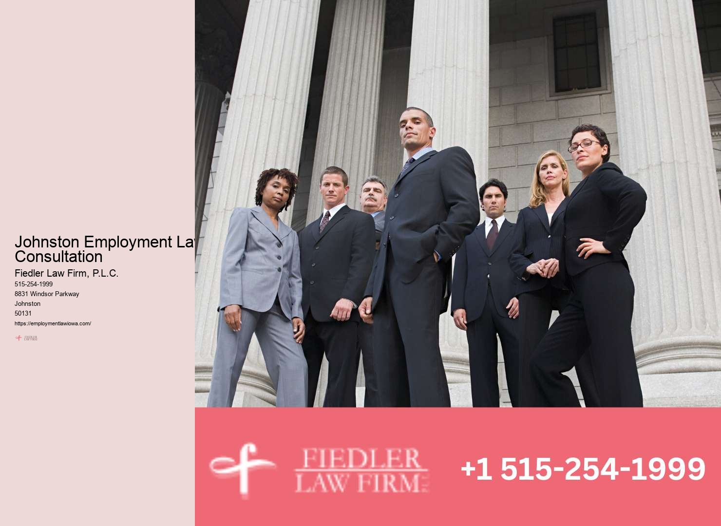 Johnston Employment Law Consultation Firm Expertise Services