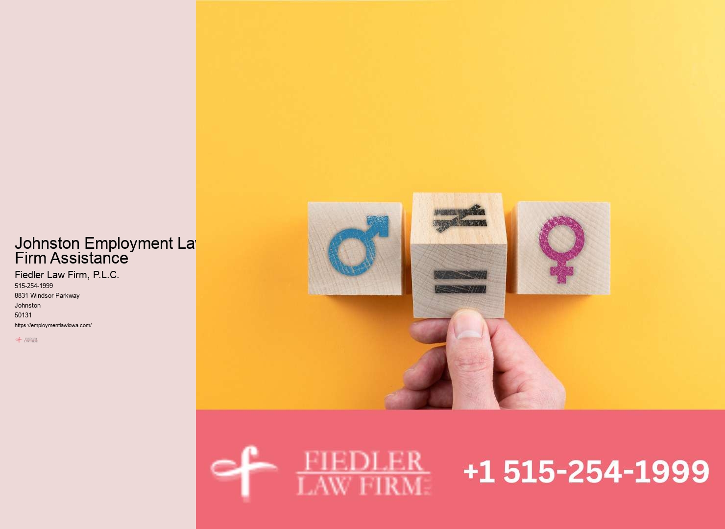 Employment Lawyer Johnston expertise