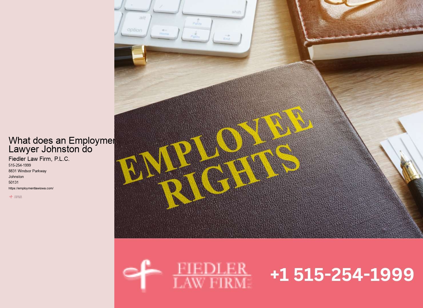 Leading Government Employment Lawyer in Johnston