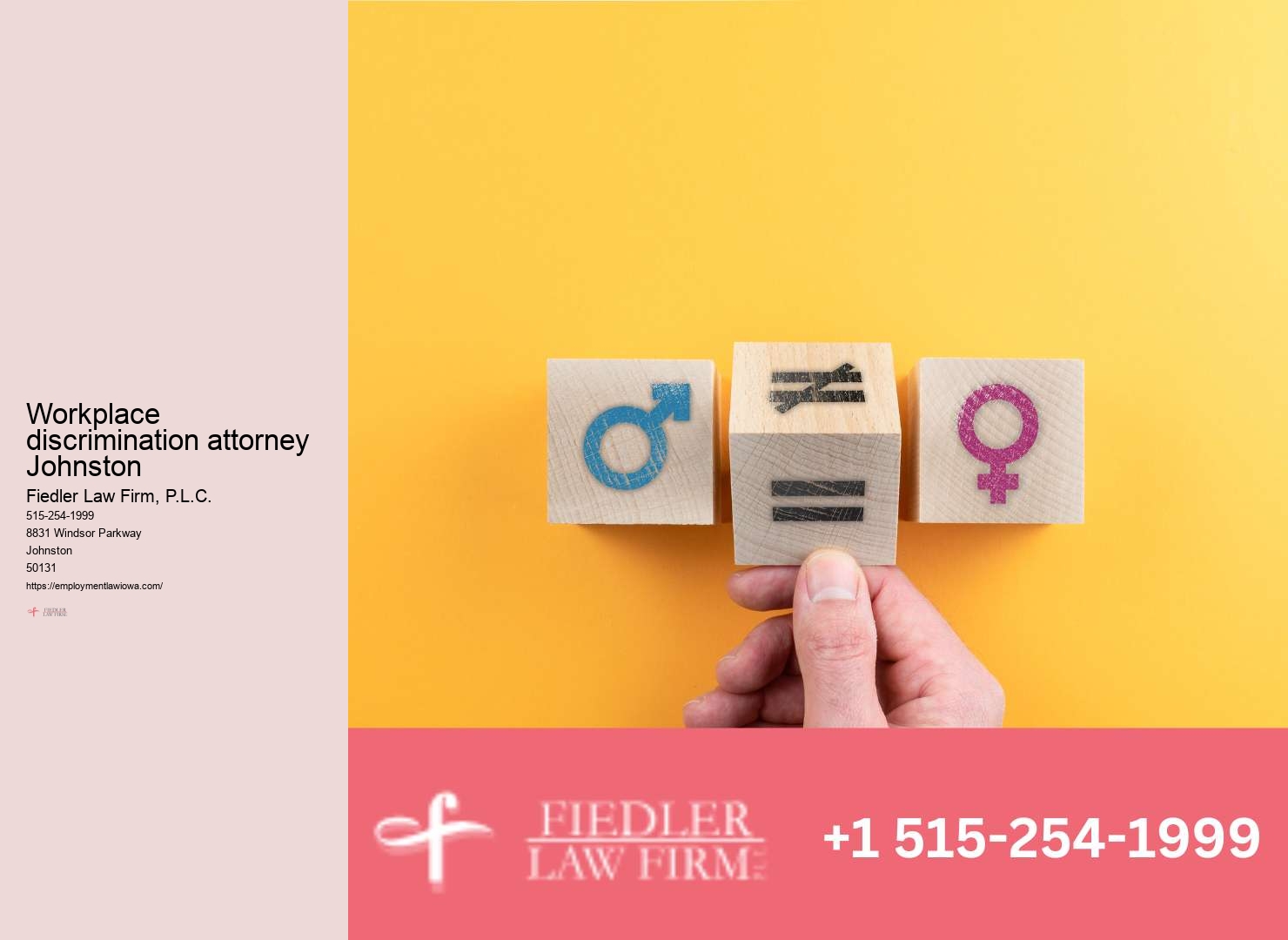 Expert Government Employment Lawyer Johnston