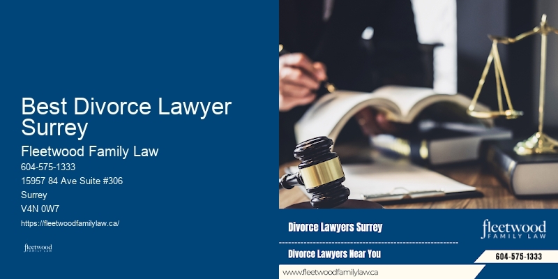 Best Divorce Lawyer Surrey Guardianship Legal Representation