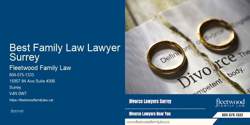Best Family Law Lawyer Surrey Family Lawyer Consultation