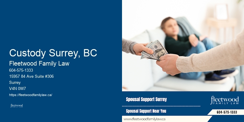 Custody Surrey, BC BC Divorce Settlement Lawyer