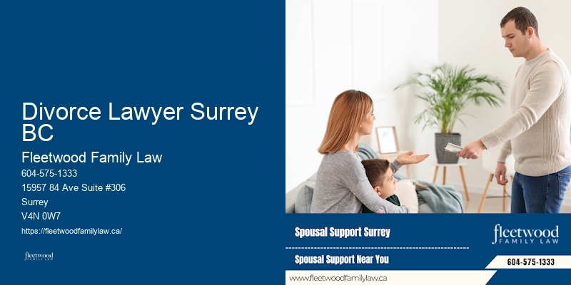 Divorce Lawyer Surrey BC Family Lawyer Specializing in Custody