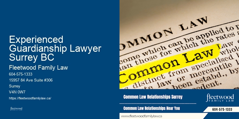 Divorce and Child Custody Lawyer Experienced Guardianship Lawyer Surrey BC