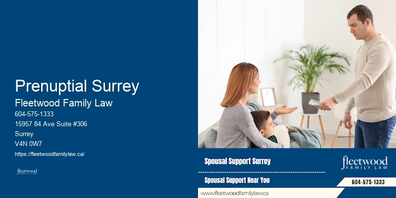 Best Divorce Lawyer Prenuptial Surrey, BC