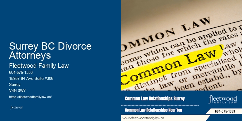 Parenting Plans Surrey BC Divorce Attorneys BC Lawyer