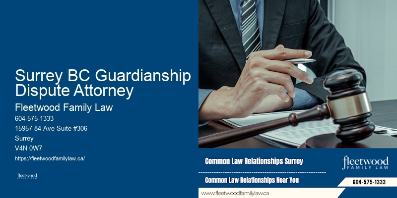 Experienced Child Custody Lawyer Surrey BC Guardianship Dispute Attorney