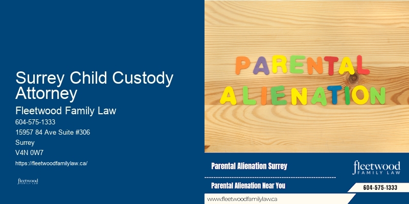 Surrey Child Custody Attorney Family Law Protection Orders