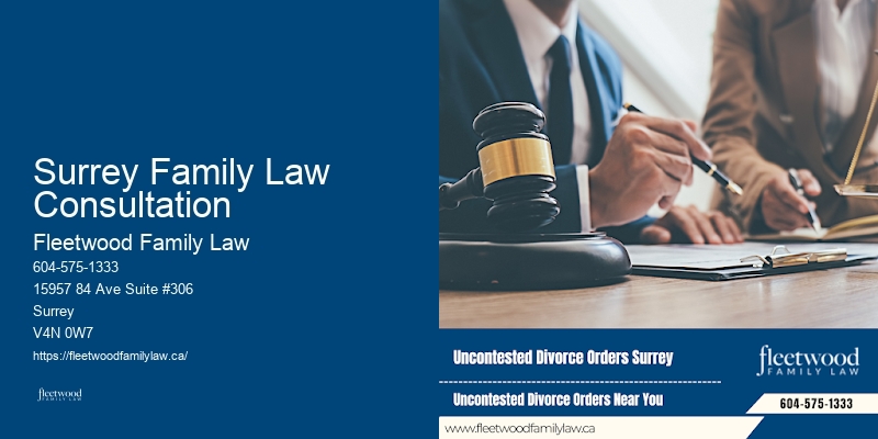 Affordable Guardianship Lawyer Surrey Family Law Consultation