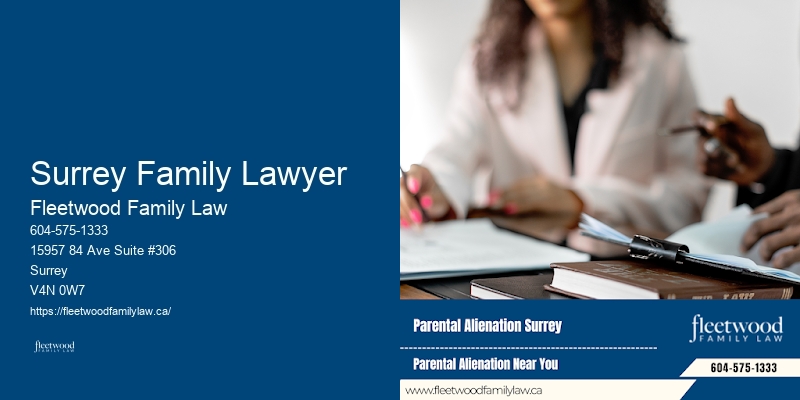 Child Visitation Rights Lawyer Surrey Family Lawyer