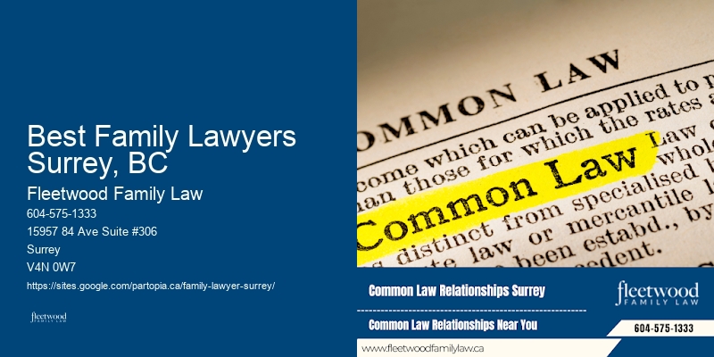 Domestic Violence Legal Services Best Family Lawyers Surrey, BC