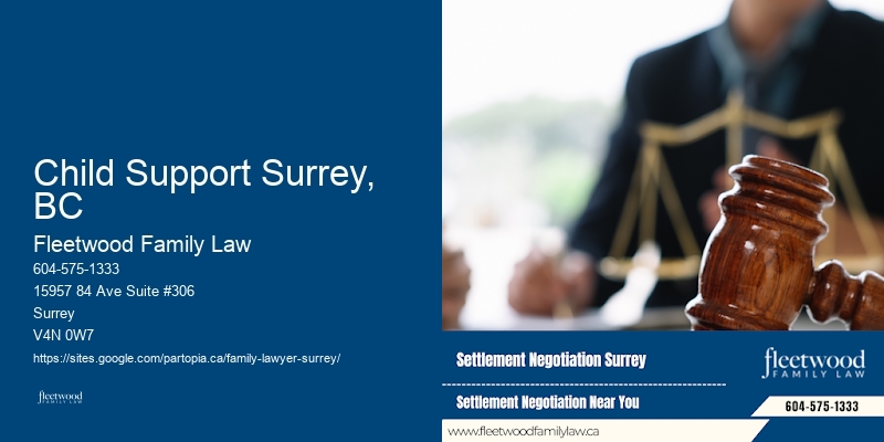 Child Visitation Rights Lawyer Child Support Surrey, BC