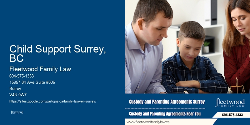 Child Support Surrey, BC Family Lawyer Services