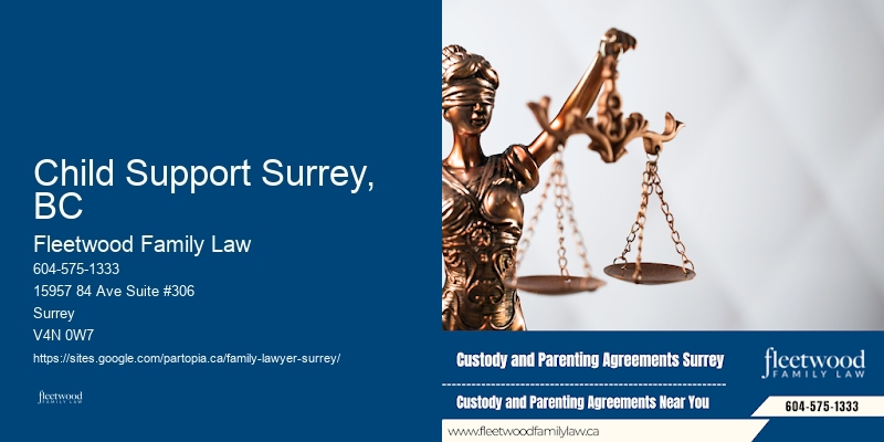 Family Dispute Lawyer Child Support Surrey, BC, BC