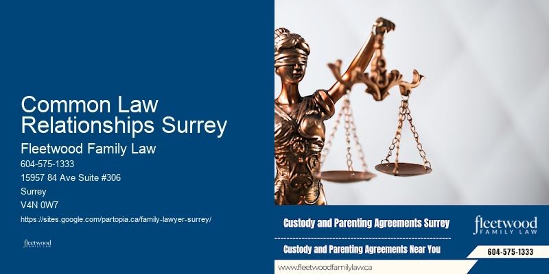 Common Law Relationships Surrey BC Child Custody Attorney
