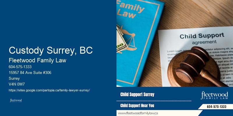 Custody Surrey, BC Divorce Lawyer Expert