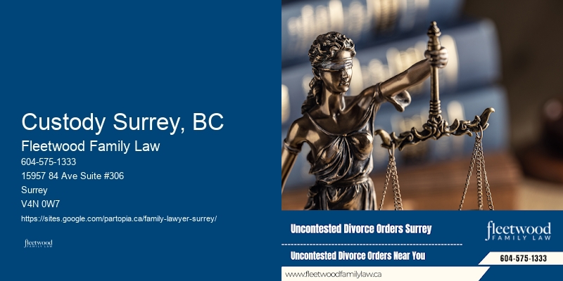 Divorce & Child Custody Lawyer Custody Surrey, BC BC