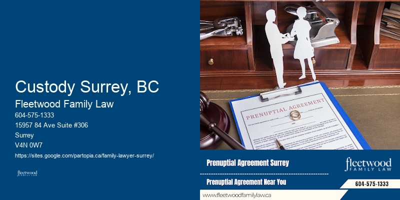 Custody Surrey, BC Family Law Resolution