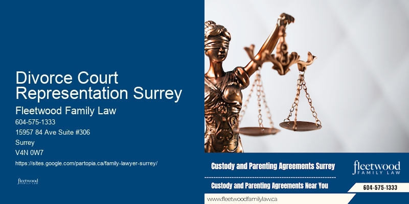 Family Law Case Review Divorce Court Representation Surrey BC