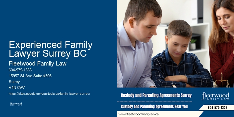 Child Custody Mediation Lawyer Experienced Family Lawyer Surrey BC