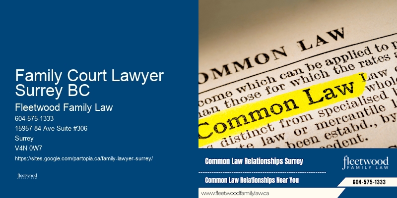 Family Court Lawyer Surrey BC BC Family Law Experts