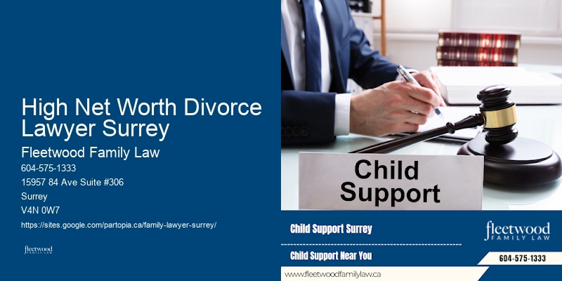 Divorce Lawyer High Net Worth Divorce Lawyer Surrey BC