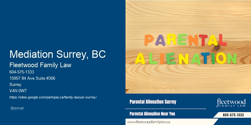 Mediation Surrey, BC Custody Mediation Lawyer