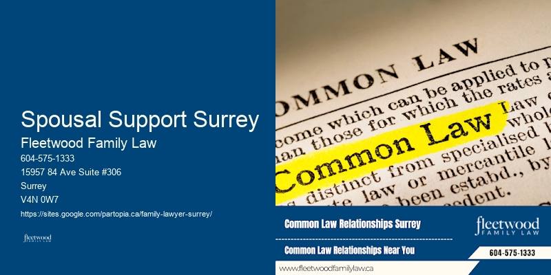 Guardianship Dispute Lawyer Spousal Support Surrey BC