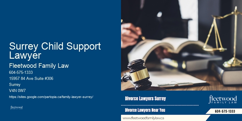 Surrey Child Support Lawyer Child Custody Attorney