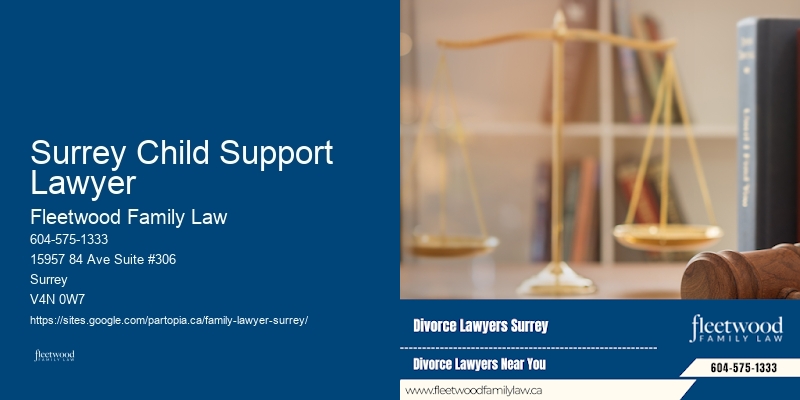 Surrey Child Support Lawyer