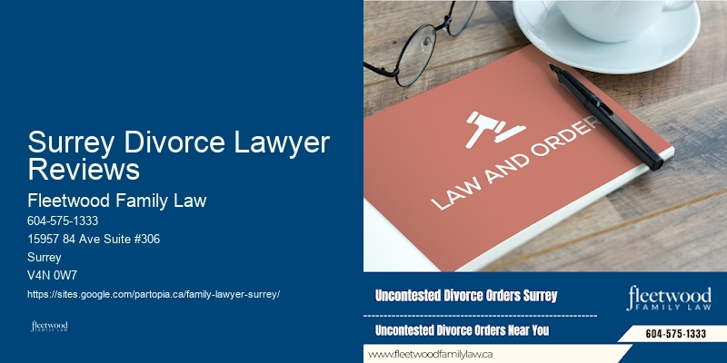 Best Family Lawyer Surrey Divorce Lawyer Reviews BC