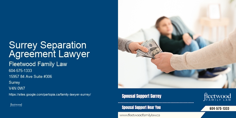 Experienced Child Custody Lawyer Surrey Separation Agreement Lawyer