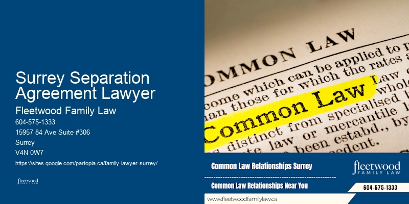 Surrey Separation Agreement Lawyer Family Lawyer