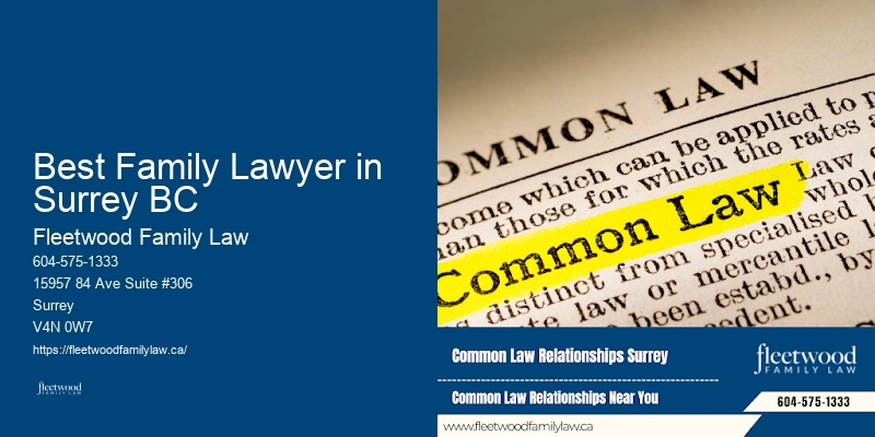 Best Family Lawyer in Surrey BC BC Family Law Practitioners