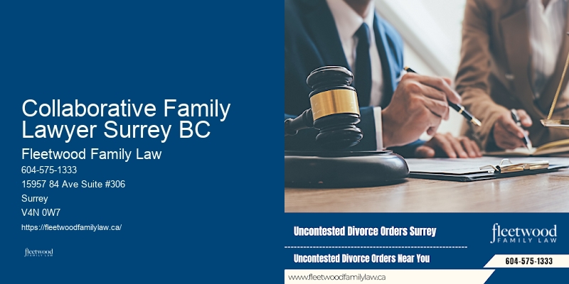 Family Law Appeals Experts Collaborative Family Lawyer Surrey BC BC