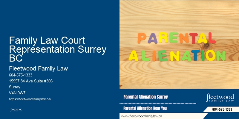 Family law expert Family Law Court Representation Surrey BC BC