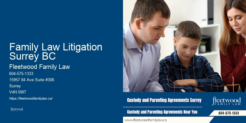 Divorce Financial Planning Attorneys Family Law Litigation Surrey BC BC