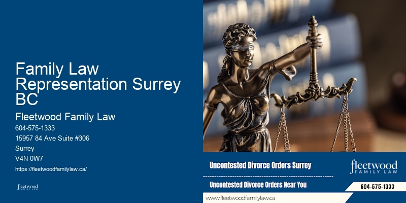 Family Law Representation Surrey BC BC Child Maintenance Lawyer
