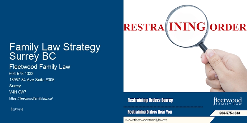 Professional Family Lawyer Family Law Strategy Surrey BC BC