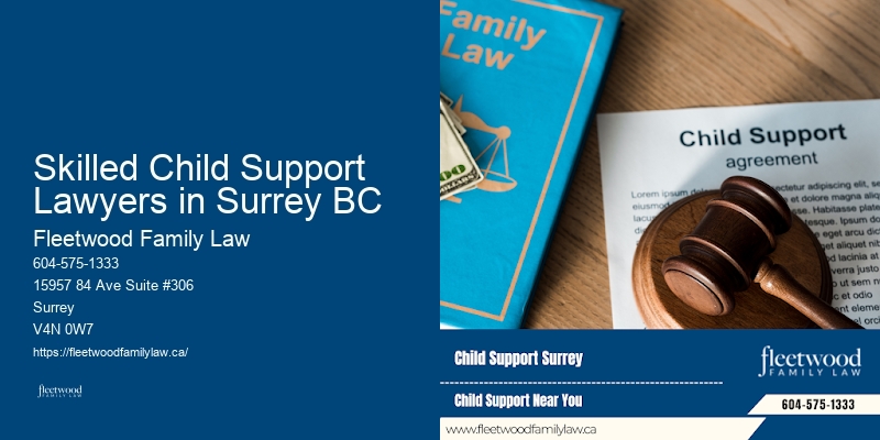 Skilled Child Support Lawyers in Surrey BC BC Child Visitation Lawyer
