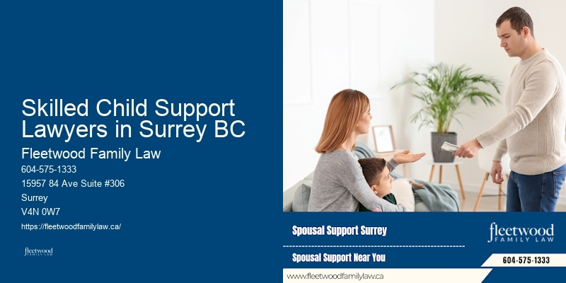 Skilled Child Support Lawyers in Surrey BC BC Marriage Agreement Lawyer