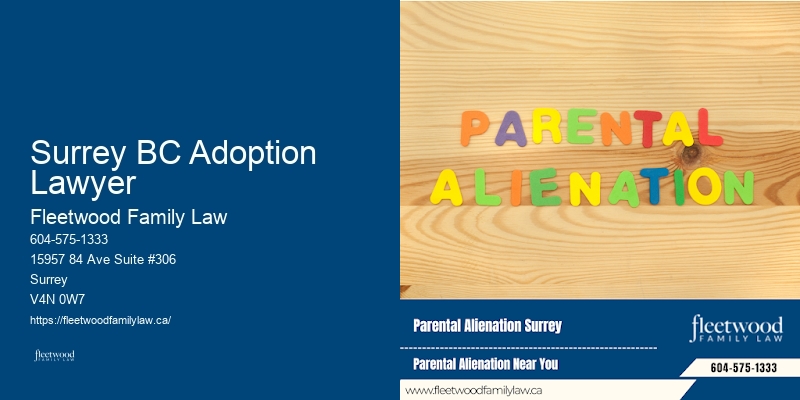 Family Court Lawyers in Surrey BC Adoption Lawyer BC